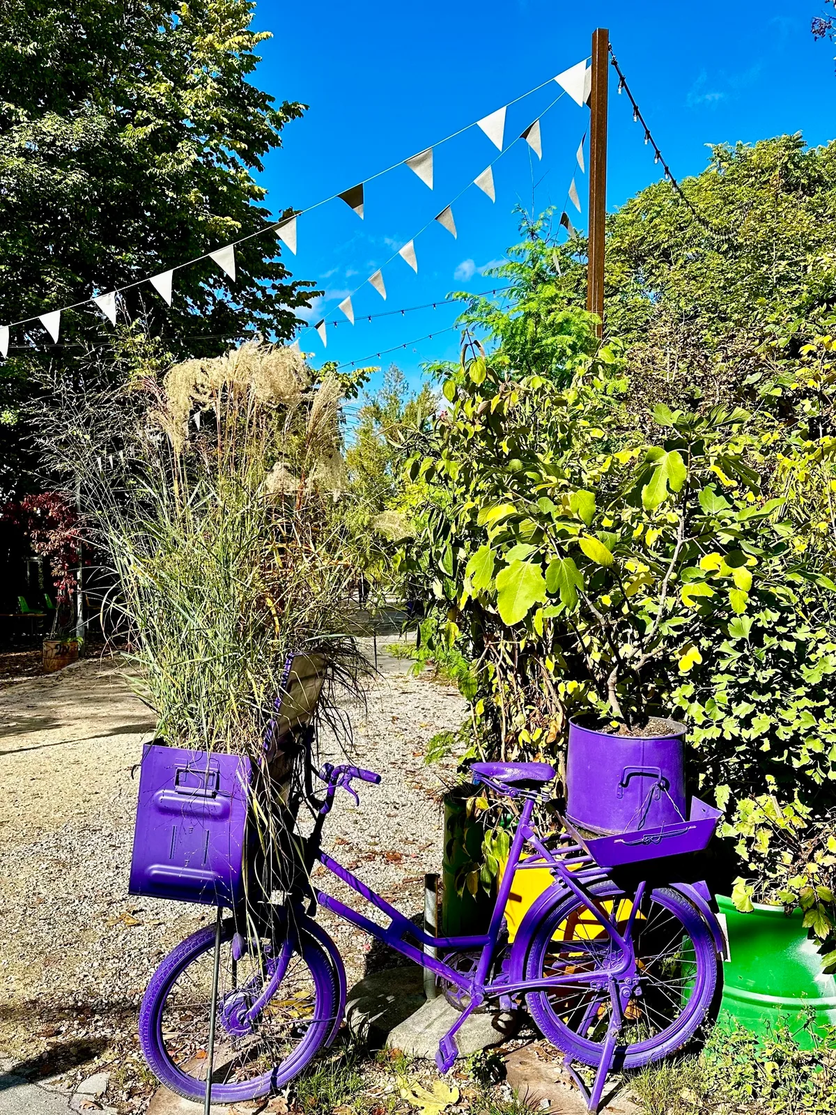 Man sieht ein lila Velo, das mit Pflanzen bewachsen ist.